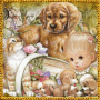 Cute puppies for Susi ♥