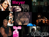 meyer 2