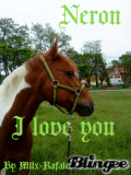 Neron