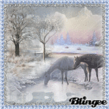 Winter Peace