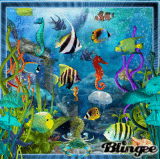 Colorful Sea Creatures 