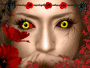 cat eyes 