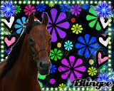 You are my Life - HORSES