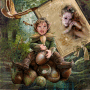 Fairies