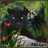 Black Panther