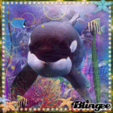 (((*Colourful Sea Life*)))