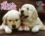 Puppie Love <3