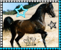{X.Arabian Horse 4 Jace<3.X} {X.Arabian Horse 4 Jace<3.X}