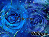 Welcome to my page