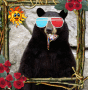 wow summer bear