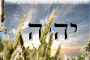 *Ich bin Unschuldig!!Ich habe die Wahrheit gesagt in Jeder Hinsicht und das Schwöre ich bei Gott Jehova und Jesus!!