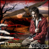 Damon  (Ian Somerhalder)