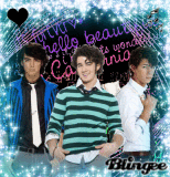Jonas Brothers