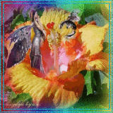 fairy and dragon-copyright by c.c.-graphic © 