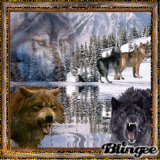 Mean Wolfs