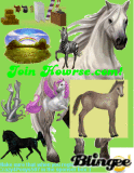 JOIN HOWRSE!!!
