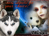 whats your choice?