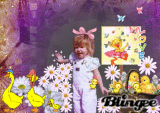 Everyone Stop 4 The Ducks
