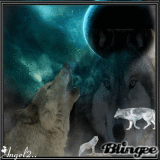 Full moon Wolfs