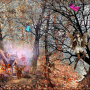 L'automne des fées