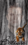 sean flalin