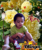 gleyce7