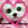 I <3 animals