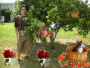 cookies garden