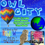 owl city