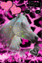 pony0friends