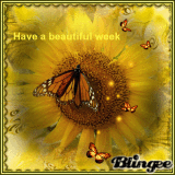 Have a beautiful week