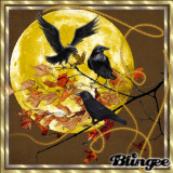Autumn Crow's