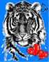 Eye of the Tiger