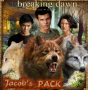 **Jacob's pack protecting the Cullens**breaking dawn "© m.τ.pя¡йςзŝš" **Jacob's pack protecting the Cullens**breaking dawn "© m.τ.pя¡йςзŝš"