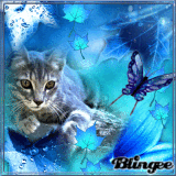 sweet kitty in blue for my sweet  dani with love  