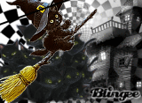 Black Cat