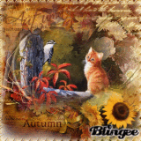 •♥•Auτu๓ղ•♥•(ჩყ εℓყ①⑦①⑨⑨ⓞ)Oяιgιήαℓ ჩℓιήgεε ©Dσղ'т ĉσρყ™ 