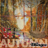 AUTUMN - autunno