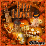 Orange Halloween Orange Halloween