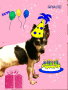 Happy Birthday Gracie K
