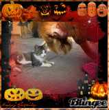 ♥ Me and my cat Tzitzi and my dog Pufi ♥
