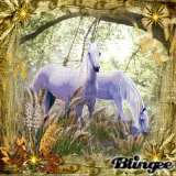 LES CHEVAUX DU BONHEUR