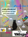 Ah pauvre chat .... 