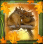 ♥ Squirrel ♥ Lovers ♥