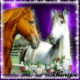 Couple of horses