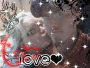 Forever