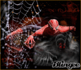 dark spider