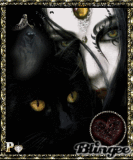 Dama in nero con gatto brixal  p