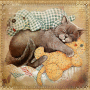 sweet cat for my dear friend magie3000 with love sweet cat for my dear friend magie3000 with love
