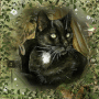 Minou Minou